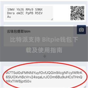 比特派支持 Bitpie钱包下载及使用指南