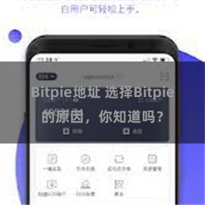 Bitpie地址 选择Bitpie的原因，你知道吗？