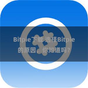 Bitpie下载 选择Bitpie的原因，你知道吗？