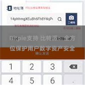 Bitpie支持 比特派：全方位保护用户数字资产安全