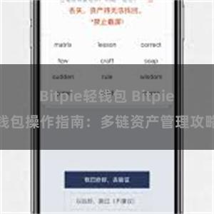 Bitpie轻钱包 Bitpie钱包操作指南：多链资产管理攻略