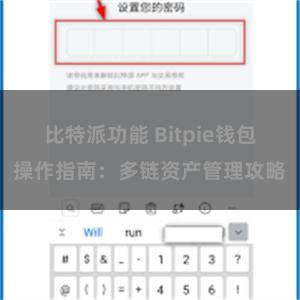 比特派功能 Bitpie钱包操作指南：多链资产管理攻略