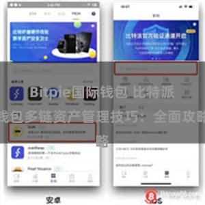 Bitpie国际钱包 比特派钱包多链资产管理技巧：全面攻略