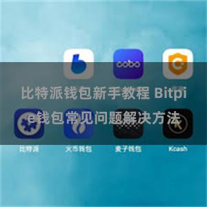 比特派钱包新手教程 Bitpie钱包常见问题解决方法