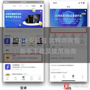 Bitpie安装包 比特派钱包：新手下载及使用指南