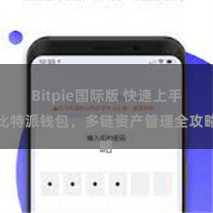 Bitpie国际版 快速上手比特派钱包，多链资产管理全攻略