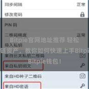 Bitpie官网地址推荐 轻松管理多链资产，教你如何快速上手Bitpie钱包！