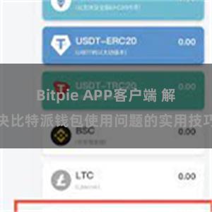 Bitpie APP客户端 解决比特派钱包使用问题的实用技巧