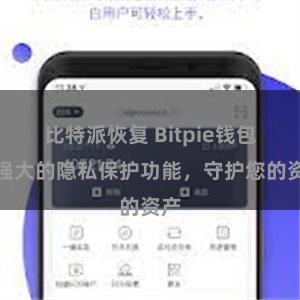 比特派恢复 Bitpie钱包：强大的隐私保护功能，守护您的资产