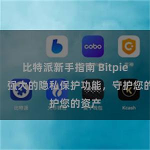 比特派新手指南 Bitpie钱包：强大的隐私保护功能，守护您的资产