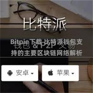 Bitpie下载 比特派钱包支持的主要区块链网络解析