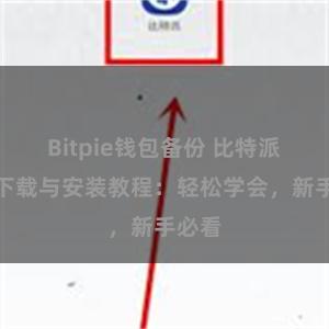 Bitpie钱包备份 比特派钱包下载与安装教程：轻松学会，新手必看