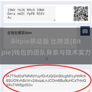 Bitpie移动版 比特派(Bitpie)钱包的团队背景与技术实力