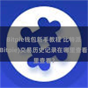 Bitpie钱包新手教程 比特派(Bitpie)交易历史记录在哪里查看？