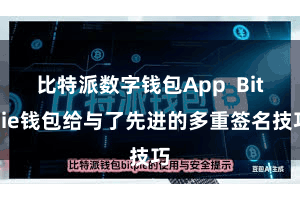 比特派数字钱包App  Bitpie钱包给与了先进的多重签名技巧