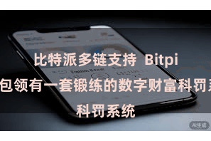 比特派多链支持  Bitpie钱包领有一套锻练的数字财富科罚系统